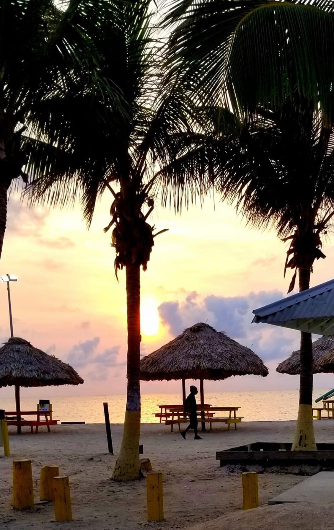 Palms and beach shelters at sunset