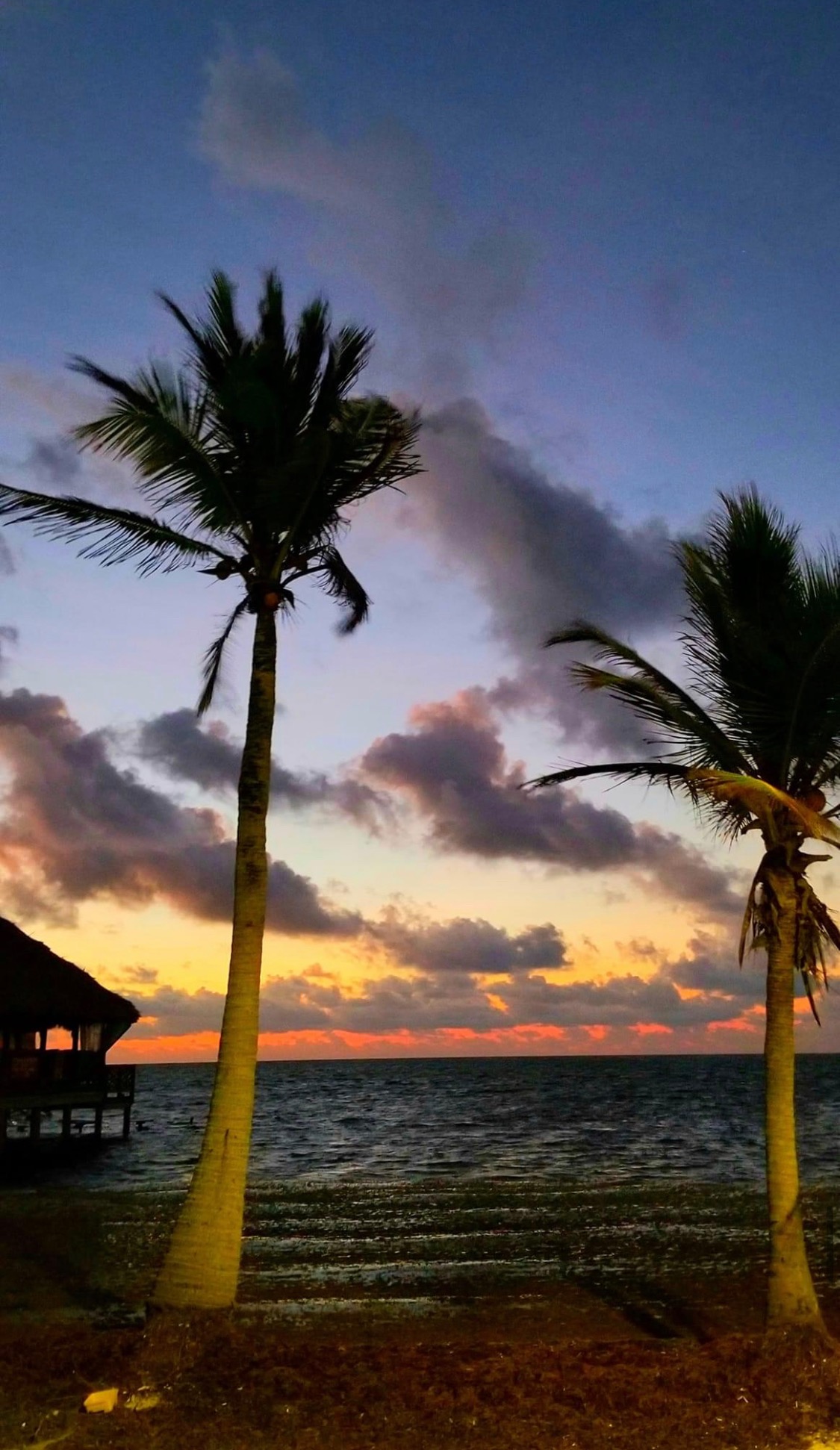 Palm silhouettes beneath a colorful evening sky