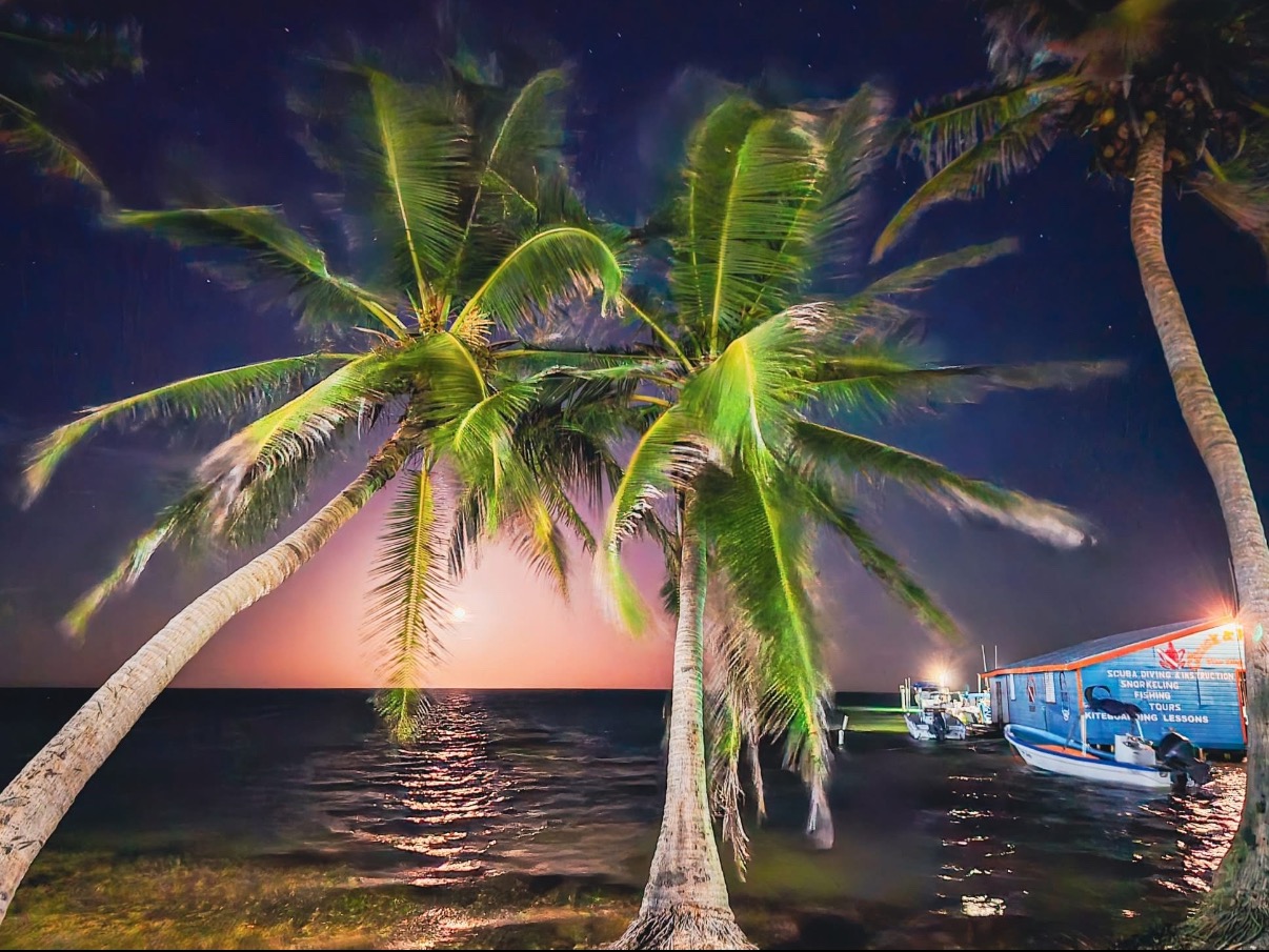 Illuminated palms and shoreline after sunset